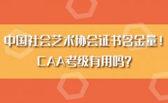 南京艺之行中国社会艺术协会证书含金量！CAA考级有用吗？